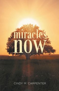 portada Miracles Now