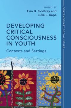 portada Developing Critical Consciousness in Youth: Contexts and Settings (Contemporary Social Issues Series) (in English)