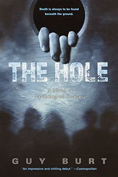 portada The Hole 