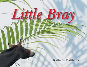 portada Little Bray (en Inglés)