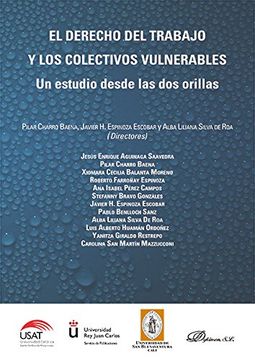 portada El derecho del trabajo y los colectivos vulnerables. Un estudio desde las dos orillas