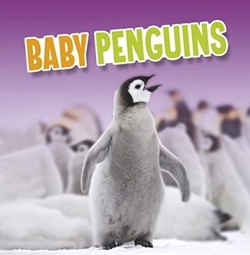 portada Baby Penguins (Paperback)