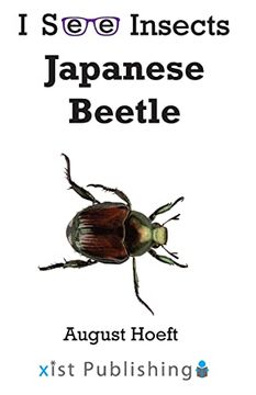 portada Japanese Beetle (i see Insects) (en Inglés)