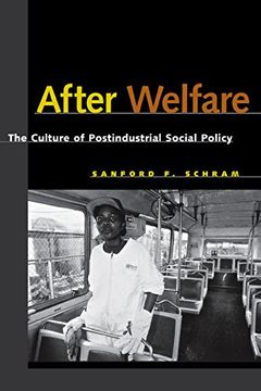 portada After Welfare: The Culture of Postindustrial Social Policy (en Inglés)