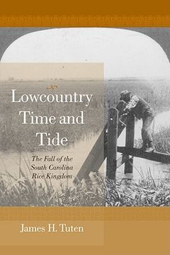 lowcountry time and tide,the fall of the south carolina rice kingdom