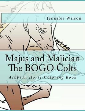 portada Majus and Majician Twin Colts Coloring Book: Horse Coloring Fun (in English)