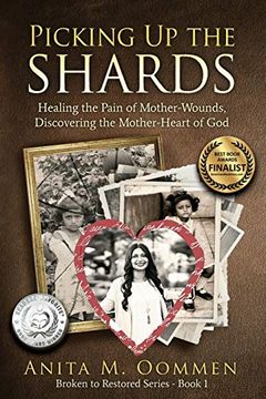 portada Picking up the Shards: Healing the Pain of Mother-Wounds, Discovering the Mother-Heart of god (en Inglés)