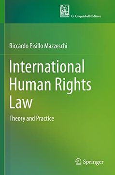 portada International Human Rights law: Theory and Practice
