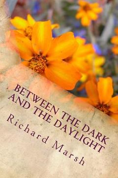 portada Between the Dark and the Daylight (en Inglés)