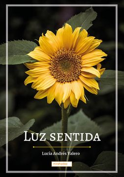 portada Luz Sentida (in Spanish)