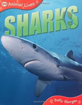 portada Animal Lives: Sharks (Qed Animal Lives) (en Inglés)