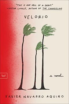portada Velorio: A Novel (in English)