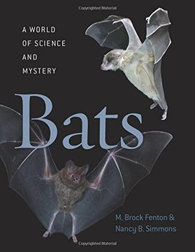 portada Bats: A World of Science and Mystery