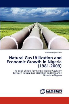 portada natural gas utilization and economic growth in nigeria (1981-2009) (en Inglés)