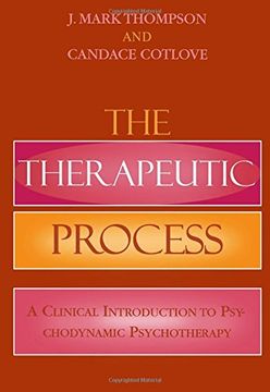 portada The Therapeutic Process: A Clinical Introduction to Psychodynamic Psychotherapy