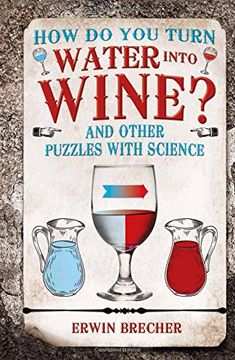 portada How Do You Turn Water into Wine? (Puzzle Books)
