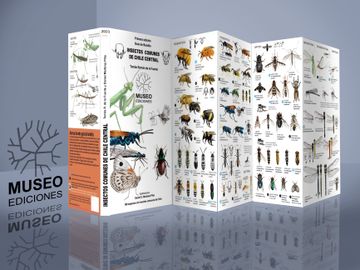 portada Guía de Insectos Comunes de Chile Central Desplegable (Bilingue)