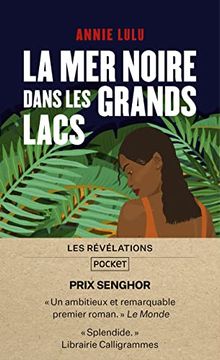 portada La mer Noire Dans les Grands Lacs (in French)