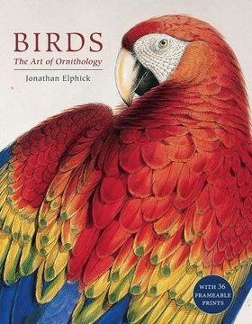 portada Birds: The Art of Ornithology (Boxed Set)