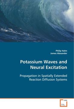 portada Potassium Waves and Neural Excitation (en Inglés)