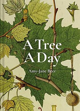 portada A Tree a Day (in English)