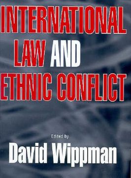 portada international law and ethnic conflict: the series in english fiction, 1850-1930 (en Inglés)