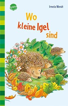 portada Wo Kleine Igel Sind (in German)