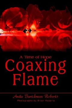 portada coaxing flame: a time of hope (in English)