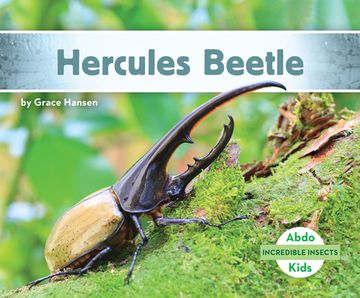 portada Hercules Beetle