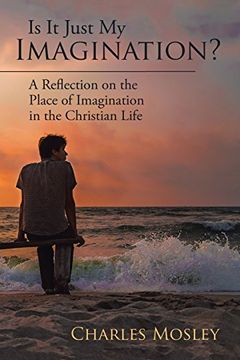 portada Is It Just My Imagination?: A Reflection on the Place of Imagination in the Christian Life