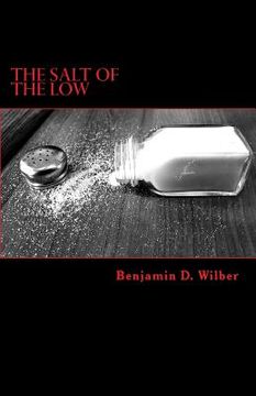 portada The Salt of the Low: A man's reflective journey through failed relationships