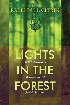 portada Lights in the Forest: Rabbis Respond to Twelve Essential Jewish Questions