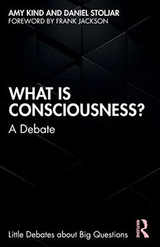 portada What is Consciousness? (Little Debates About big Questions) (en Inglés)