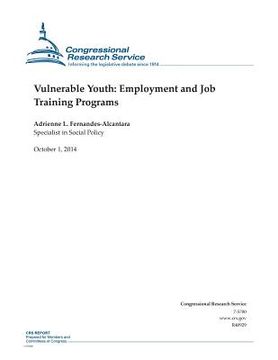 portada Vulnerable Youth: Employment and Job Training Programs (in English)