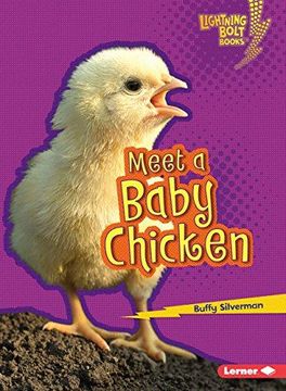 portada Meet a Baby Chicken (en Inglés)