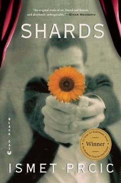 portada Shards: A Novel (en Inglés)