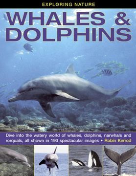 portada Exploring Nature: Whales & Dolphins: Dive into the Watery World of Whales, Dolphins, Narwhals and Rorquals, All Shown in 190 Spectacular Images