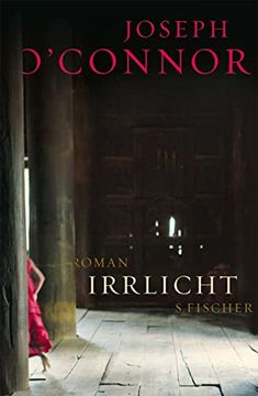 portada Irrlicht: Roman (in German)