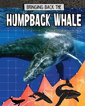 portada Bringing Back the Humpback Whale (Animals Back From the Brink) (en Inglés)