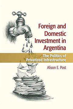 portada Foreign and Domestic Investment in Argentina: The Politics of Privatized Infrastructure (en Inglés)