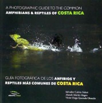 portada A photographic guide of the common ammphibians & reptiles of Costa Roca / Guía fotográfica de los anfibios y reptiles más comunes de Costa Rica