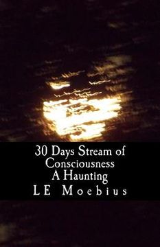 portada 30 Days Streams of Consciousness: A Haunting (en Inglés)
