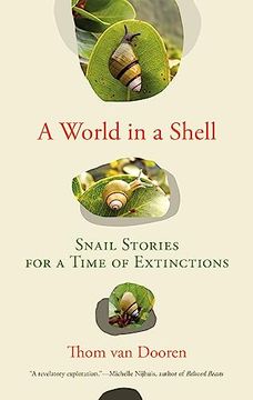 portada A World in a Shell: Snail Stories for a Time of Extinctions (en Inglés)