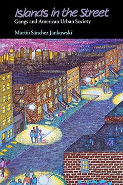portada Islands in the Street: Gangs and American Urban Society (in English)