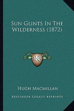 portada sun glints in the wilderness (1872) (in English)