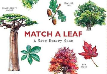 portada Match A Leaf (in English)