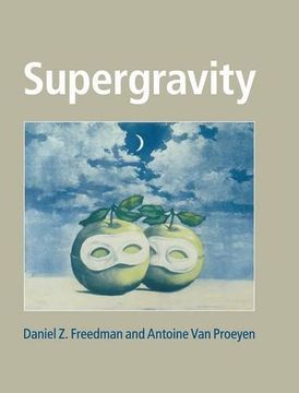 portada Supergravity (in English)