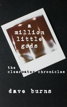 portada A million little gods: the clearwater chronicles (en Inglés)