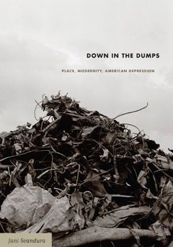 portada Down in the Dumps: Place, Modernity, American Depression (en Inglés)