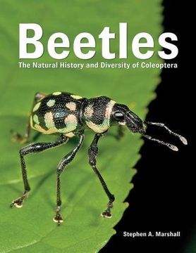 portada Beetles: The Natural History and Diversity of Coleoptera (en Inglés)